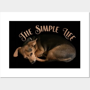 Adorable Chihuahua Napping T-Shirt mug coffee mug apparel hoodie sticker gift Posters and Art